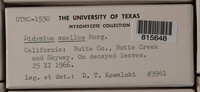 Image Associated With the Occurence